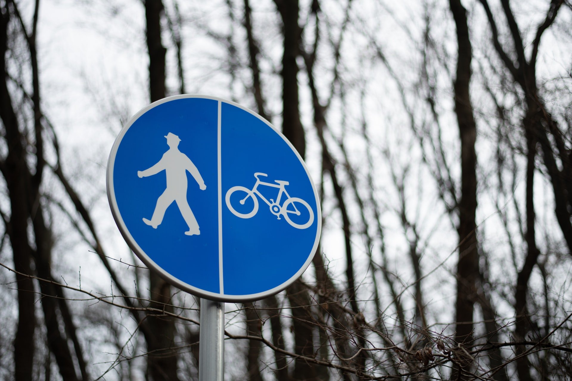 senalamientos viales para ciclistas y peatones
